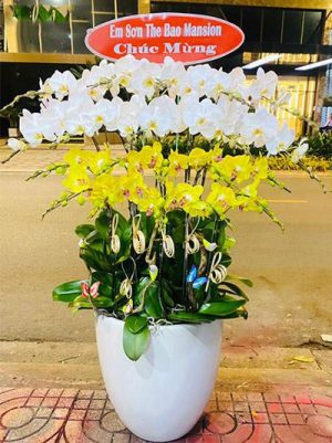 Shop Hoa Tươi Quận Hải Châu, TP Đà Nẵng