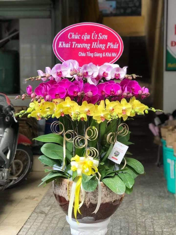 Shop Hoa Tươi Quận Hải Châu, TP Đà Nẵng